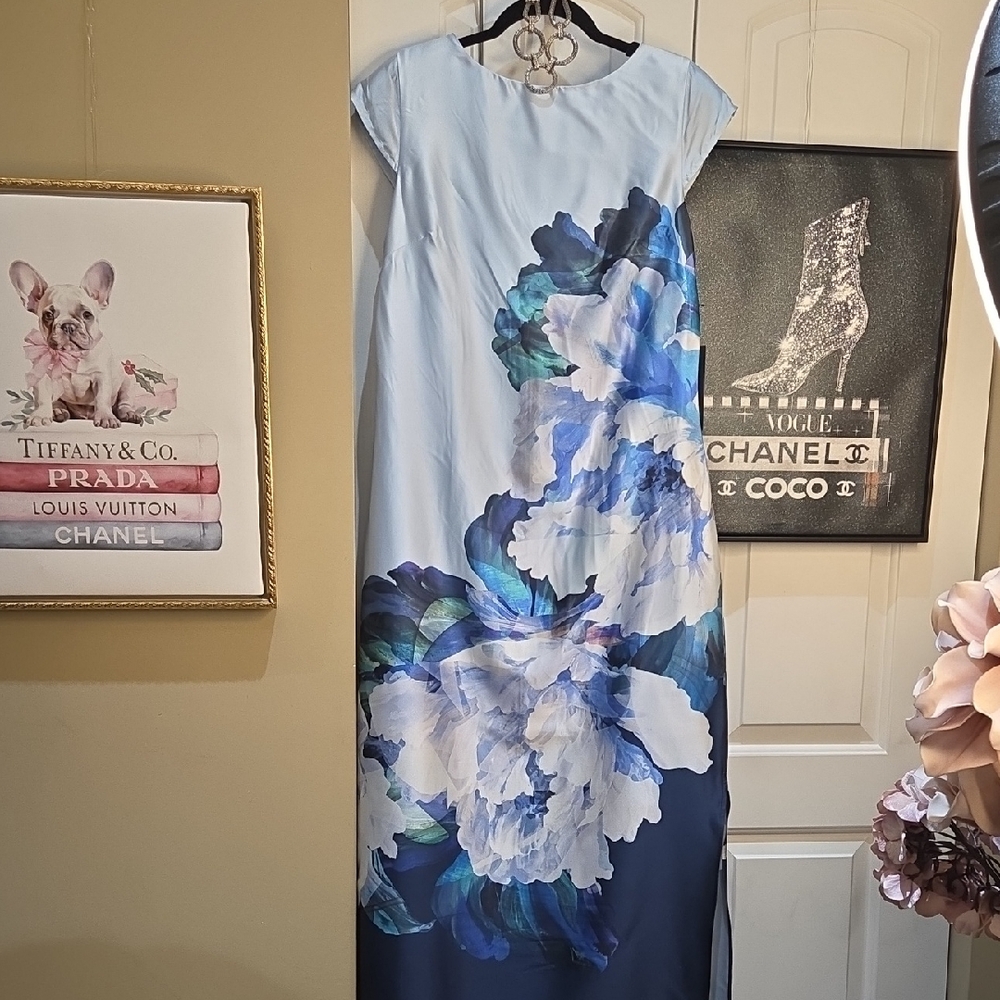 Nwt Rachel Zoe Light Blue Floral Backless Dress